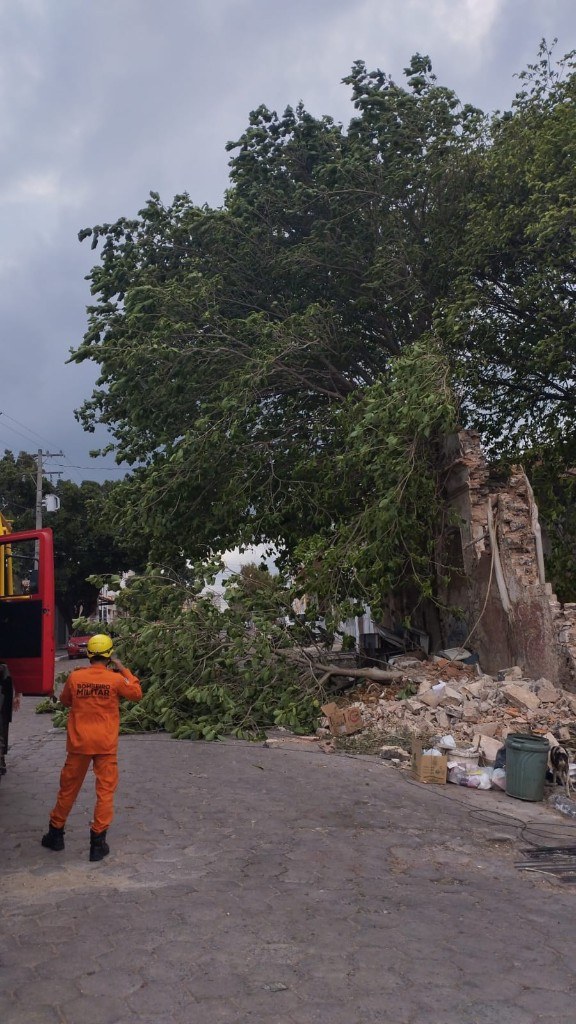 Bombeiro militar diante da árvore tombada e dos escombros de parte de um prédio antigo na área central de Corumbá
