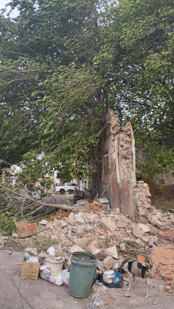 Escombros de tijolos e parede de construção antiga que desabou, com árvore caída sobre a calçada, na região central de Corumbá