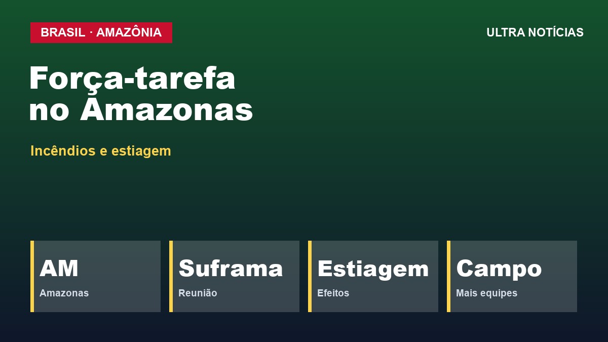 Arte: Força-tarefa contra incêndios no Amazonas