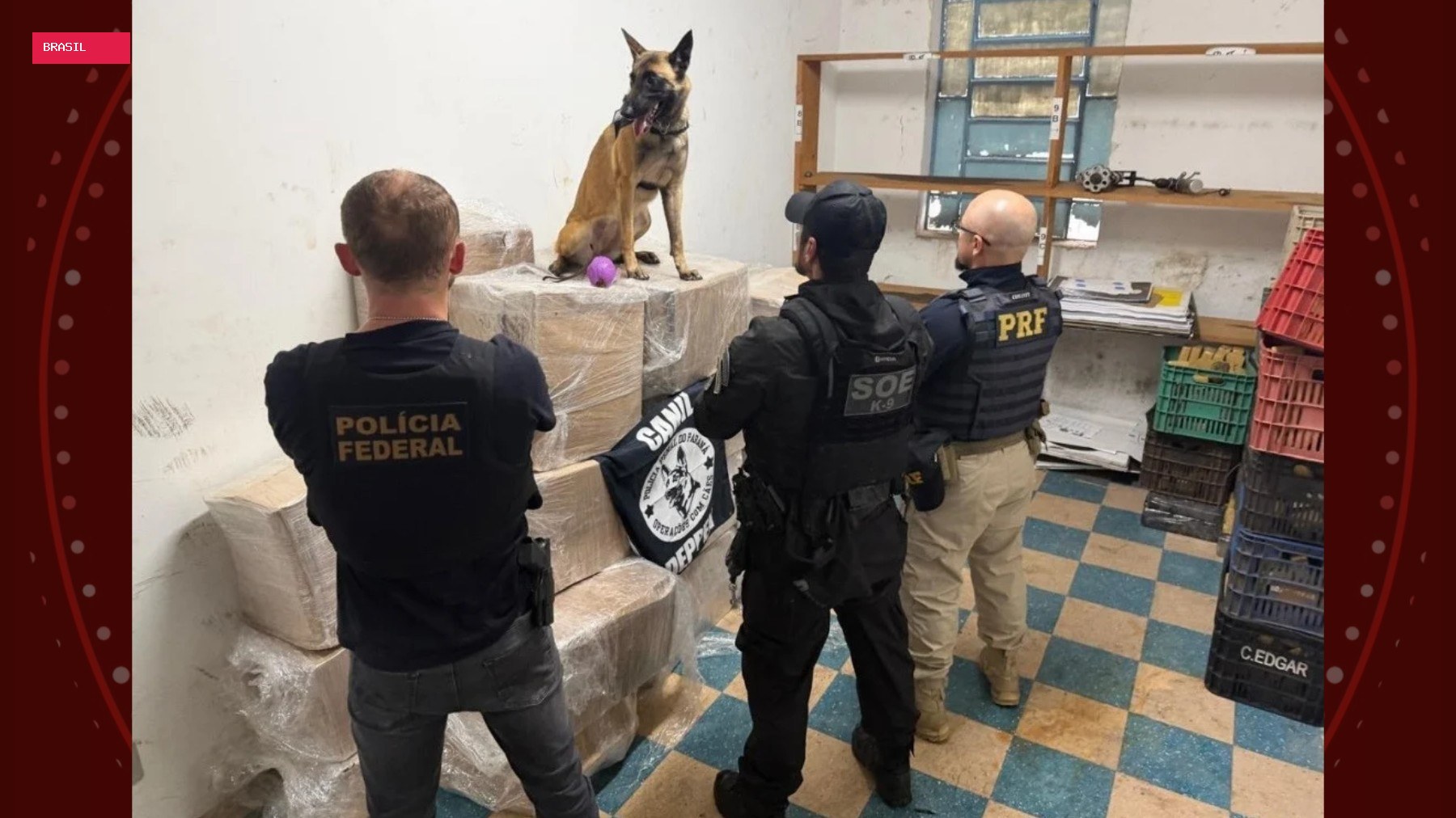 Motorista fica nervoso em abordagem e polícia descobre quase uma tonelada de maconha em caminhão, no Paraná