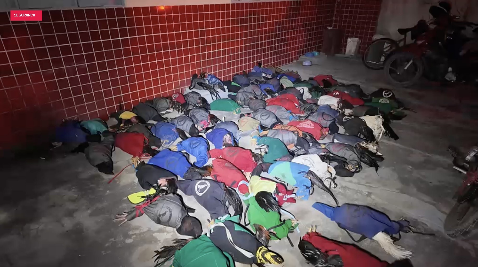 Polícia apreende 77 galos de briga e conduz mais de 50 pessoas à delegacia em Mossoró