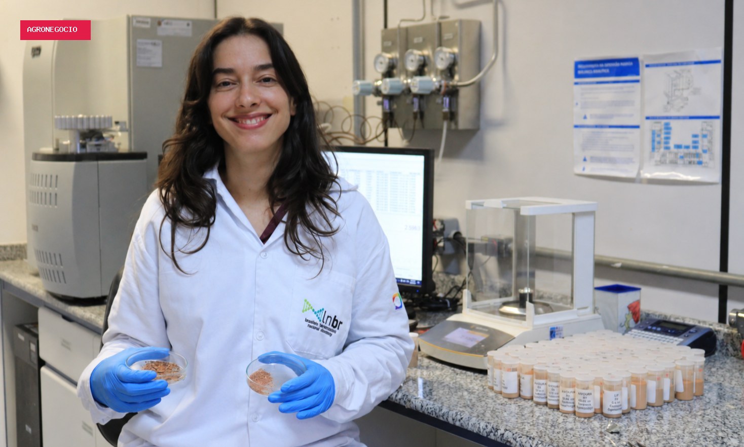 Clima, solo e manejo influenciam no armazenamento de carbono no Cerrado, mostra estudo