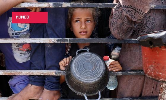 Relatora defende resgate da dignidade humana no combate à fome