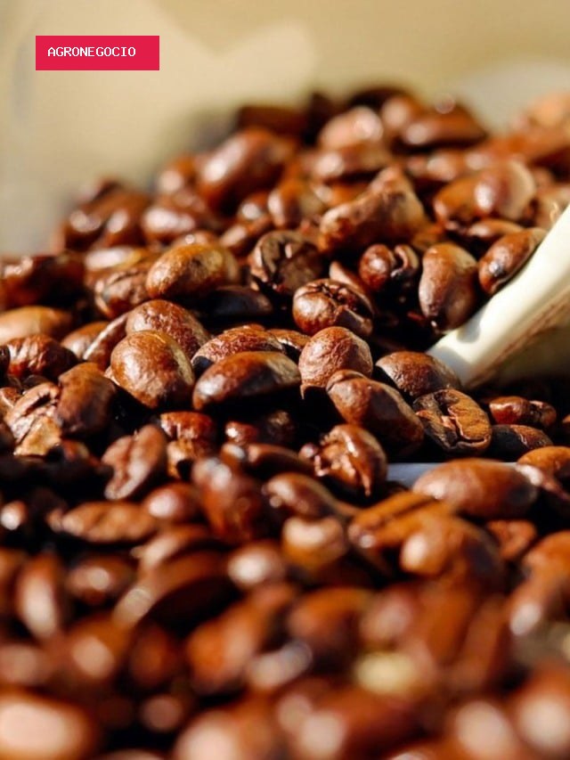 Dólar em alta sustenta preços do café no Brasil, diz Cepea