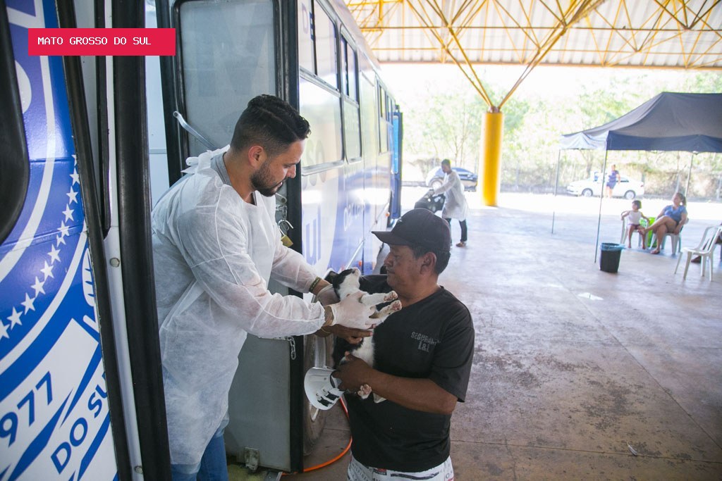 Atendimentos gratuitos da Subea começam hoje no Santo Antônio