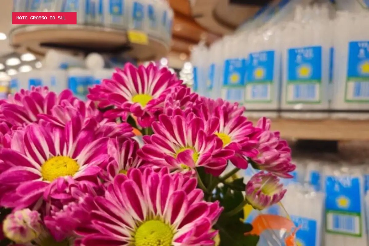 Preços de flores e velas para o Dia de Finados variam mais de 200% em Campo Grande