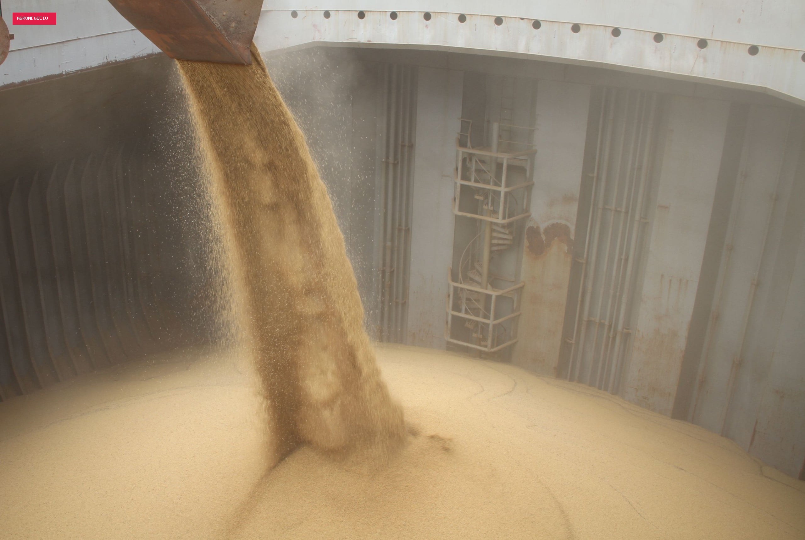 Safra recorde de soja pressiona preços, mas El Niño limita quedas no mercado brasileiro