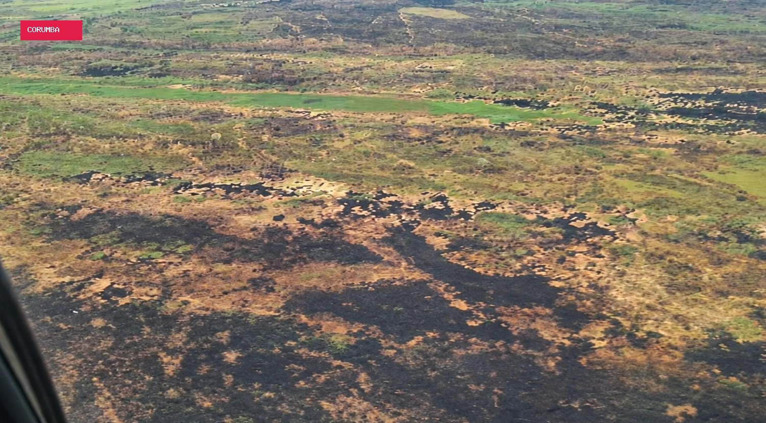 TAC exige medidas contra novos incêndios florestais em 2 fazendas no Pantanal