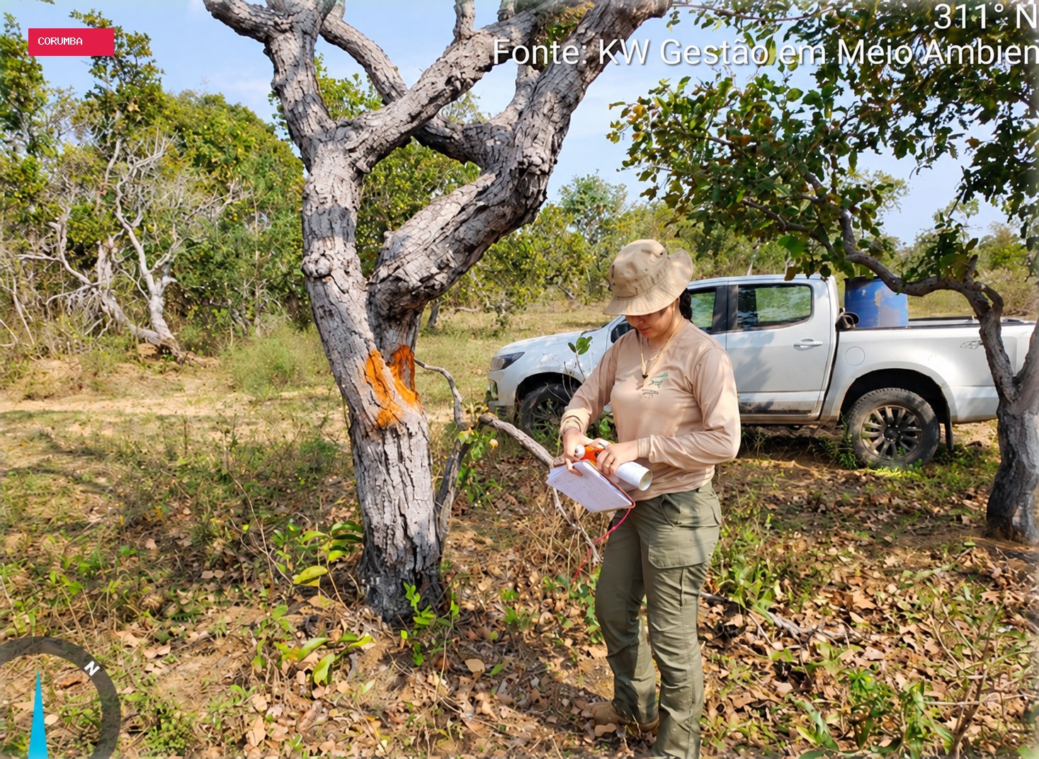 Audiência discutirá retirada de vegetação em quase 7 mil hectares em Corumbá