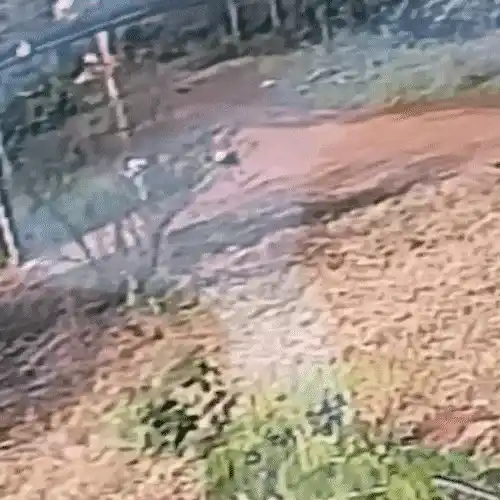 Suspeito de esfaquear e estuprar mulher é procurado em área de mata
