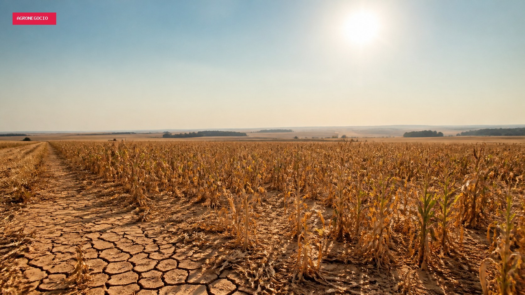 Máximas devem chegar a 39 °C em dois municípios do Piauí