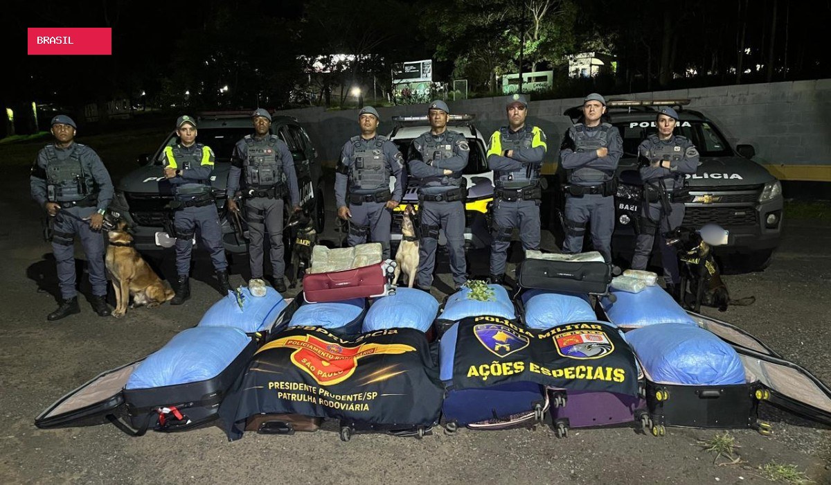 Mais de 340 kg de folhas de coca e maconha são apreendidos em ônibus no interior de SP