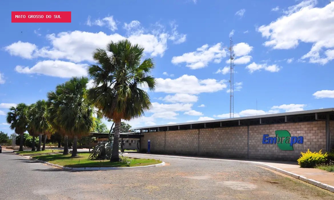 Embrapa se torna primeiro Centro de Referência da FAO em florestas plantadas