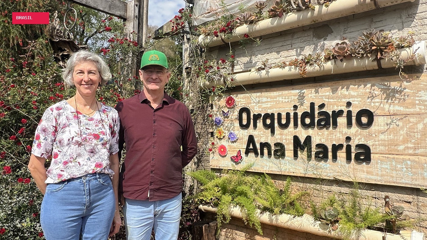 Encanto nas pétalas