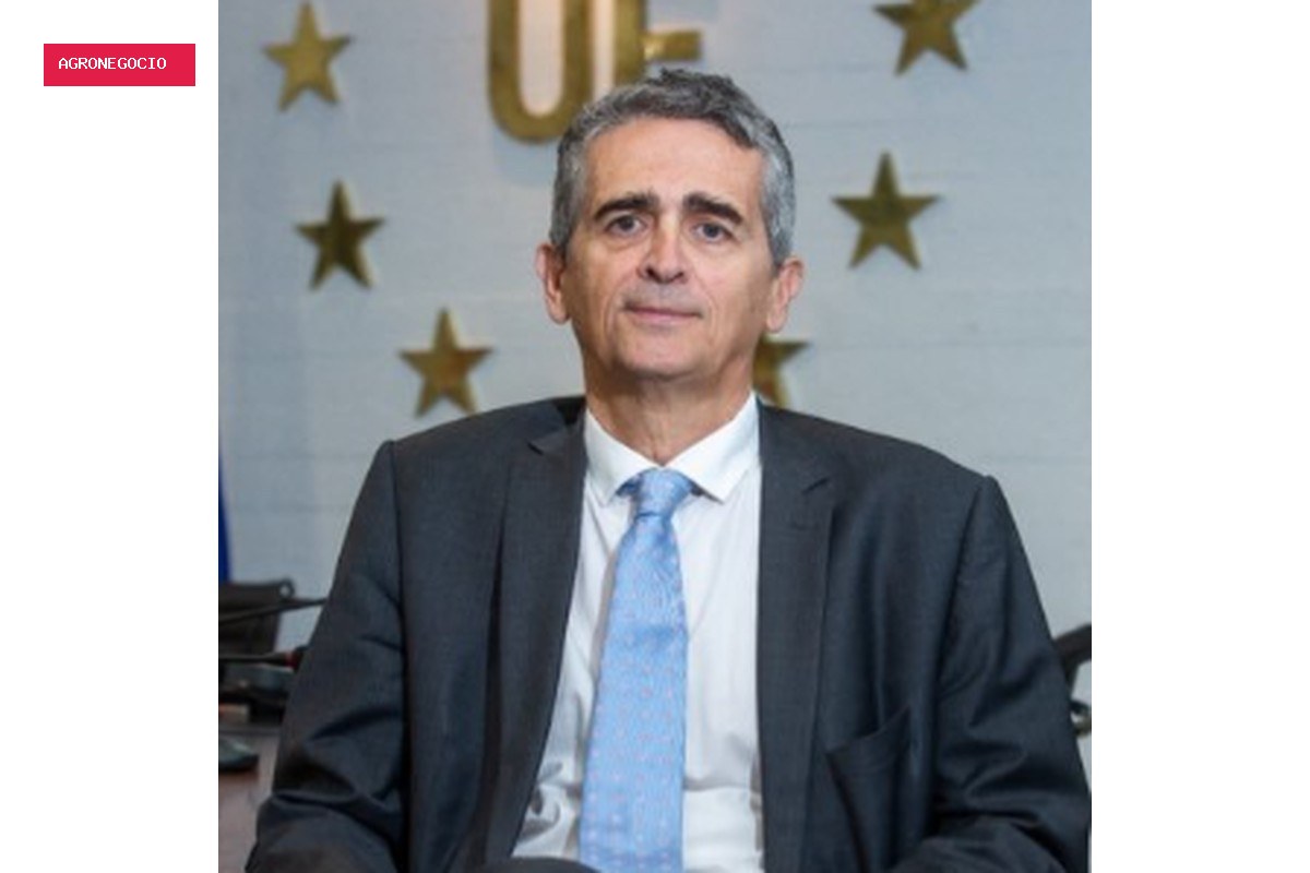 UE considera 'difícil' liberar carne brasileira antes de 2 anos, diz representante do bloco ao g1