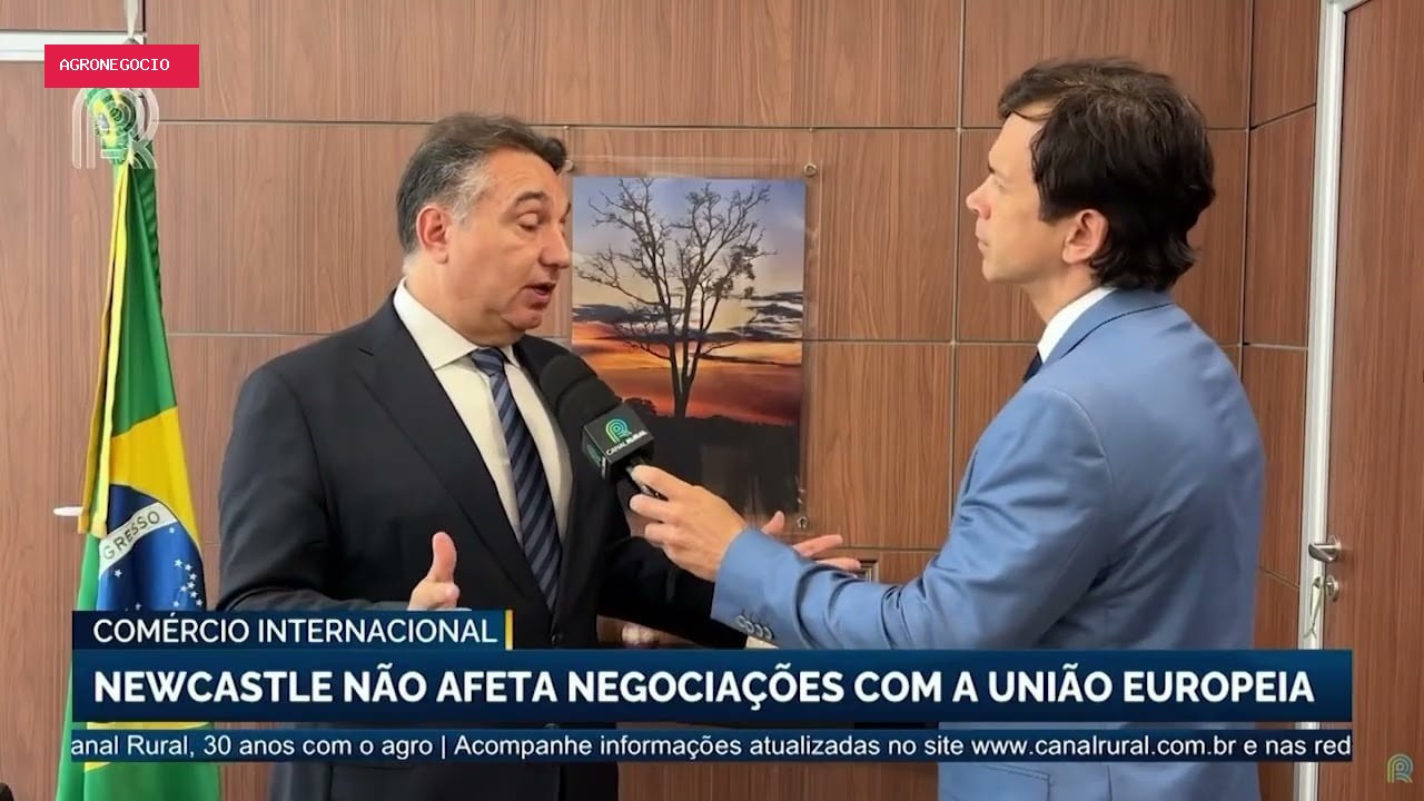 Doença de Newcastle não impacta negociações com a União Europeia