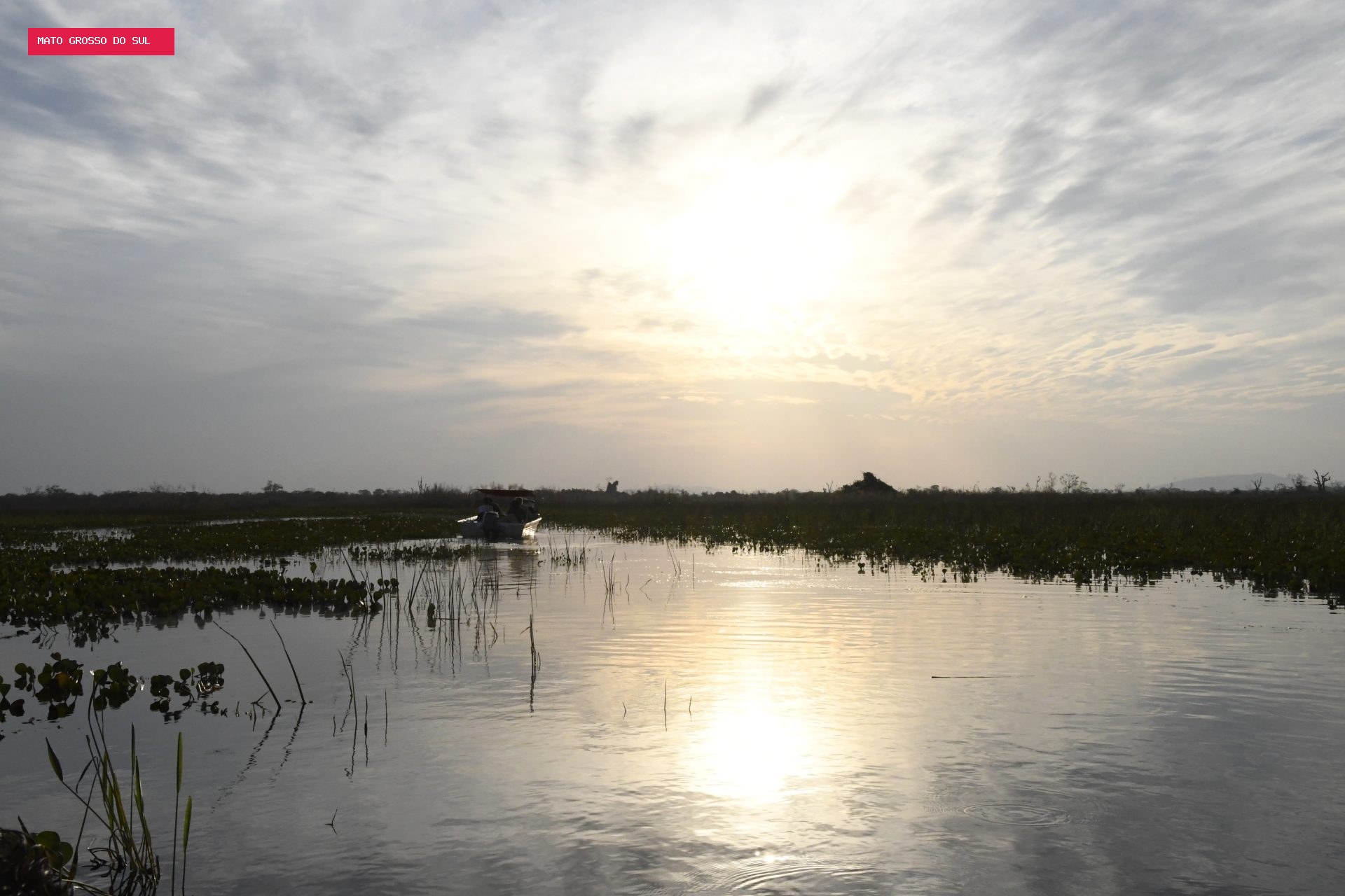 Mato Grosso do Sul faz 49 anos; as desigualdades não podem envelhecer junto
