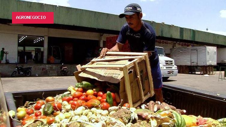 Campanha busca engajamento para reduzir desperdício de alimentos