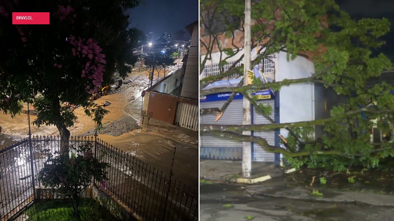 Chuva forte causa queda de árvores e alagamento em BH