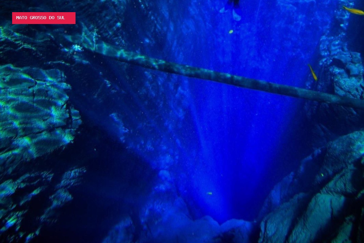 Lagoa Misteriosa: o que explica a água azul e cristalina que impressiona quem mergulha?