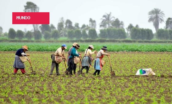 El Niño pode lançar 4,8 milhões na pobreza na América Latina e no Caribe