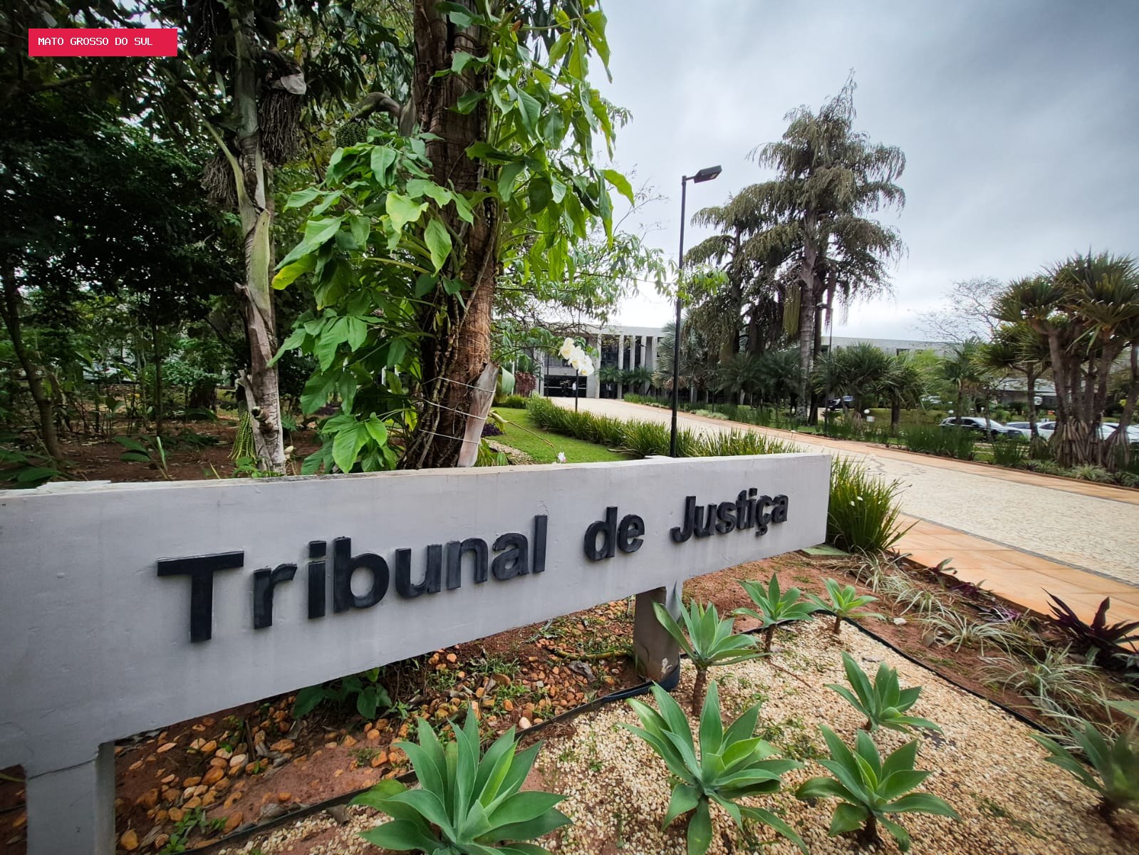 Duas juízas disputam com 7 homens vaga de desembargador no TJMS