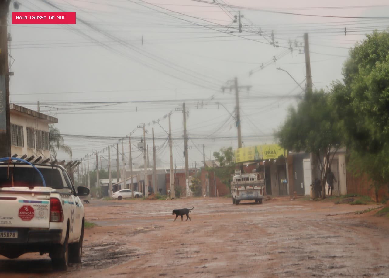 Homex vai mudar de nome e moradores podem escolher entre 8 opções