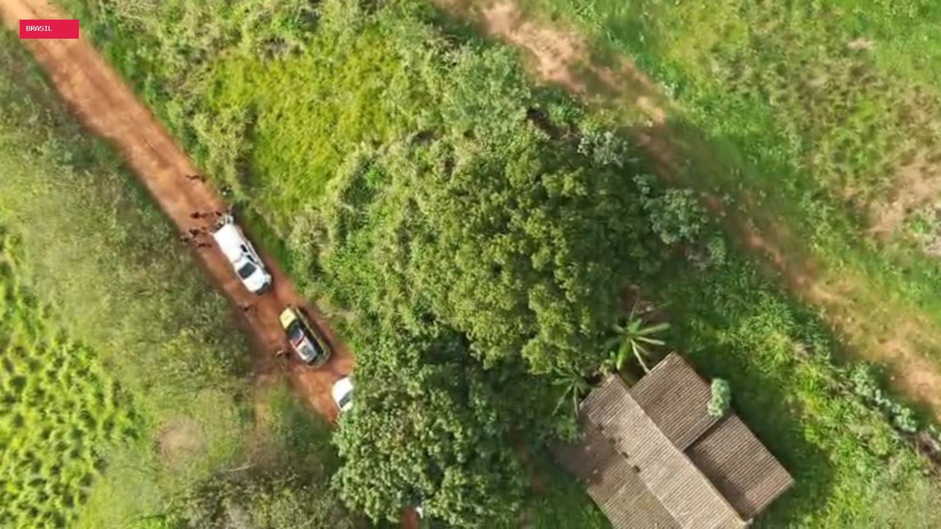 Com ajuda de helicóptero, quatro são presos com drogas na MGC-497, em Uberlândia