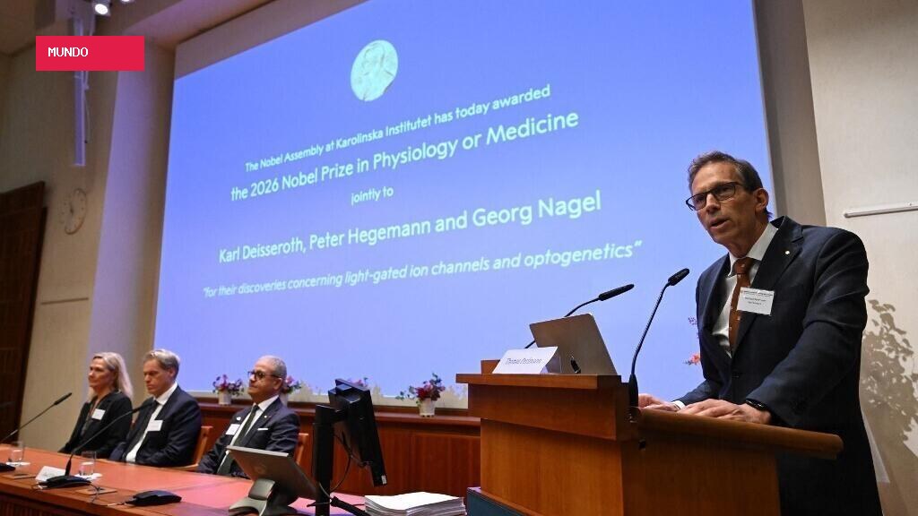 Trio que descobriu canais iônicos fotossensíveis leva Nobel de Medicina 2026
