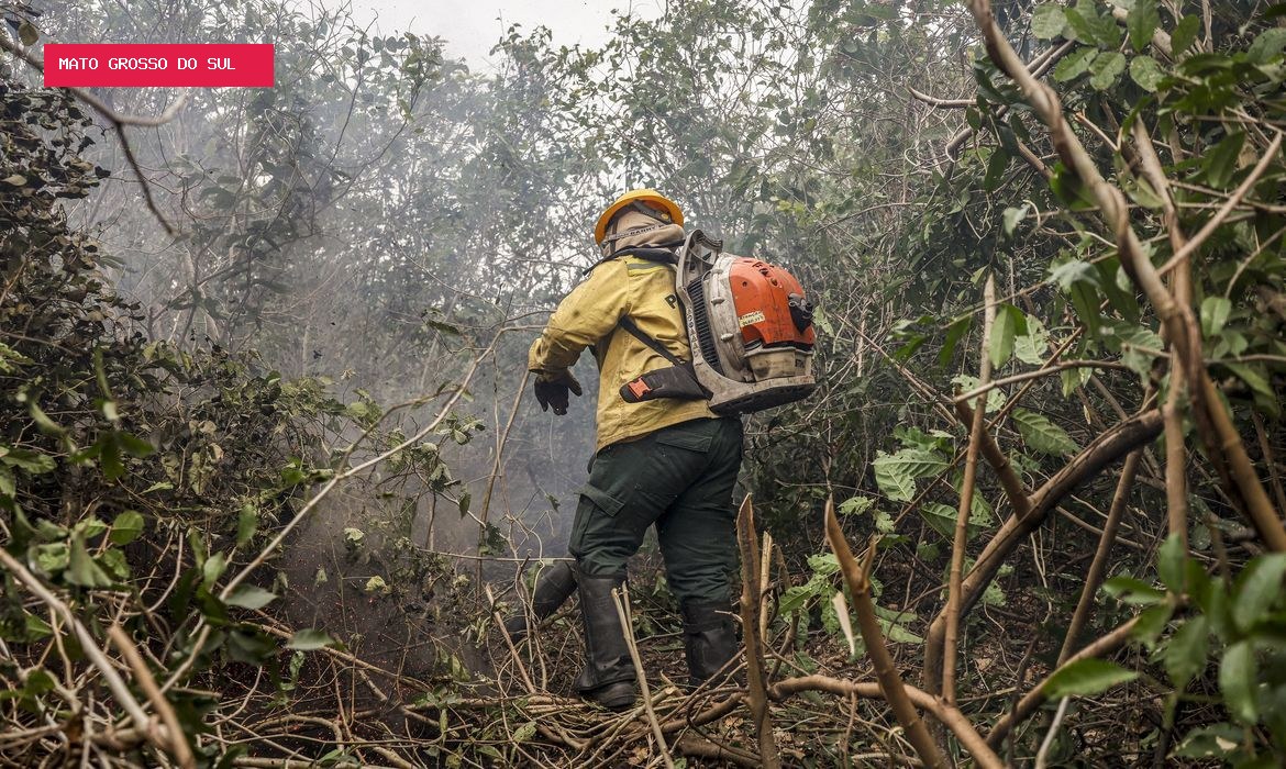 Amazonas registra 540 focos de incêndio em 48 horas