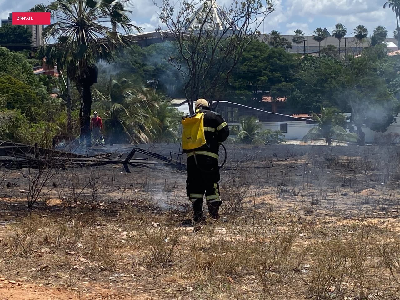 Incêndio atinge área de vegetação na UFRN, em Natal; Bombeiros investigam recorrência
