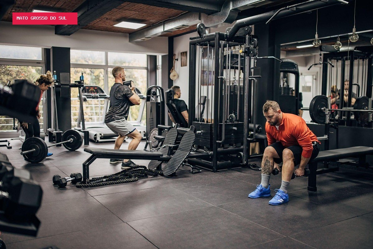 Quais são os exercícios de academia mais buscados pelos brasileiros?