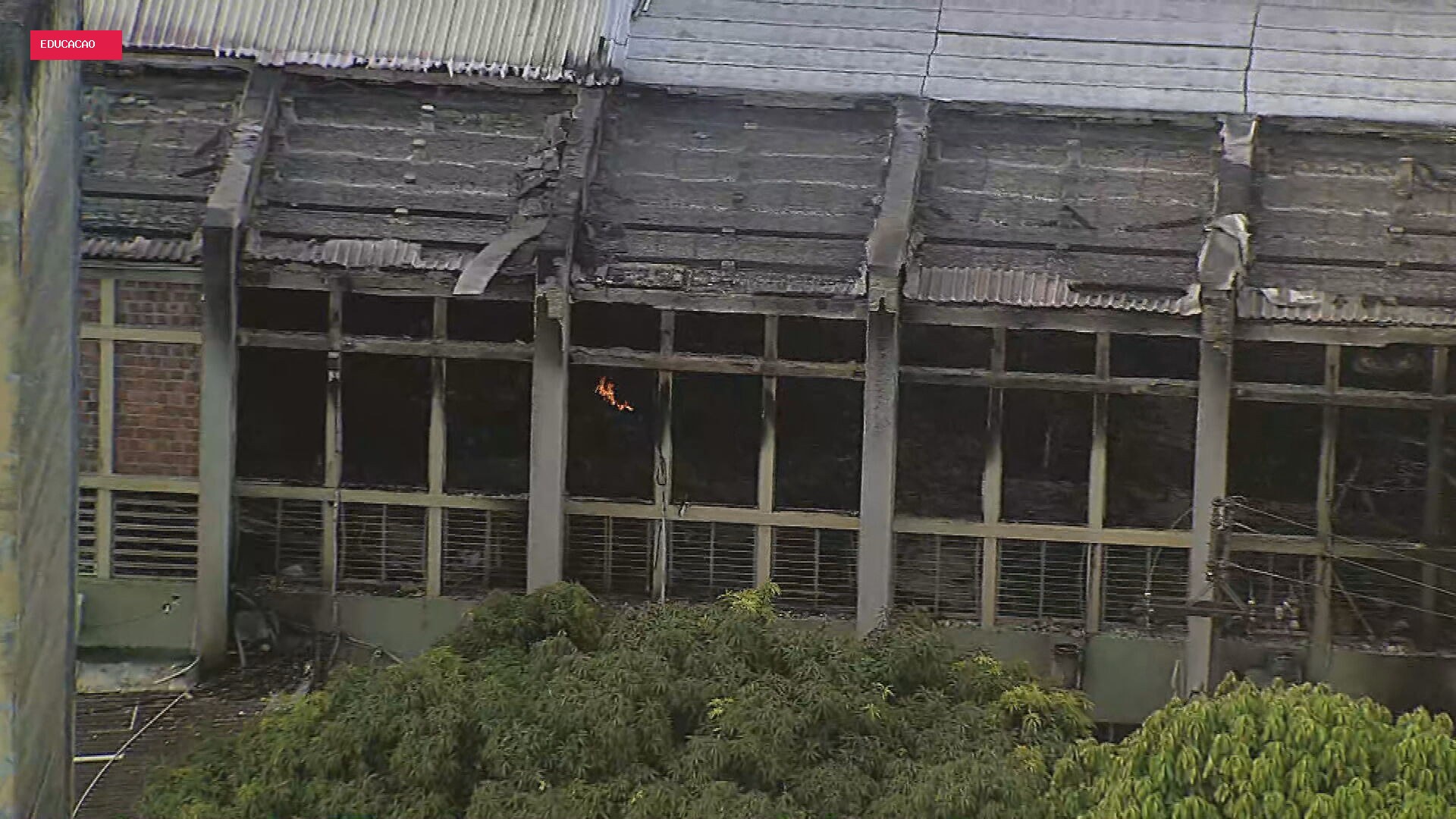 Prédio incendiado na UFPE tinha laboratórios com pesquisas sobre câncer, covid-19 e autismo