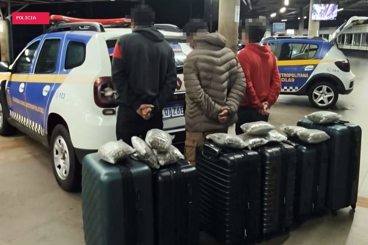 Mais de 90 kg de maconha são encontrados em malas com destino a Curitiba na rodoviária de Campo Grande