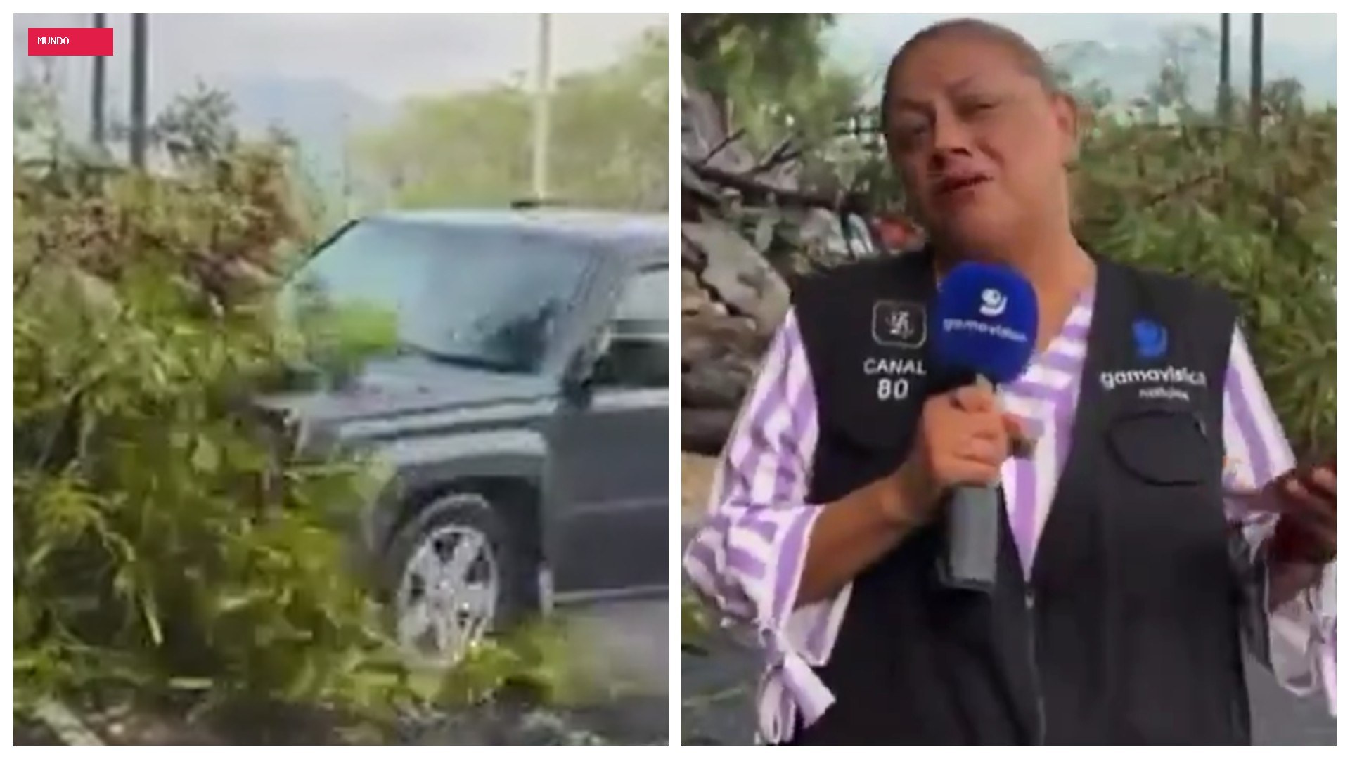 Repórter e cinegrafista são atropelados durante entrada ao vivo no México