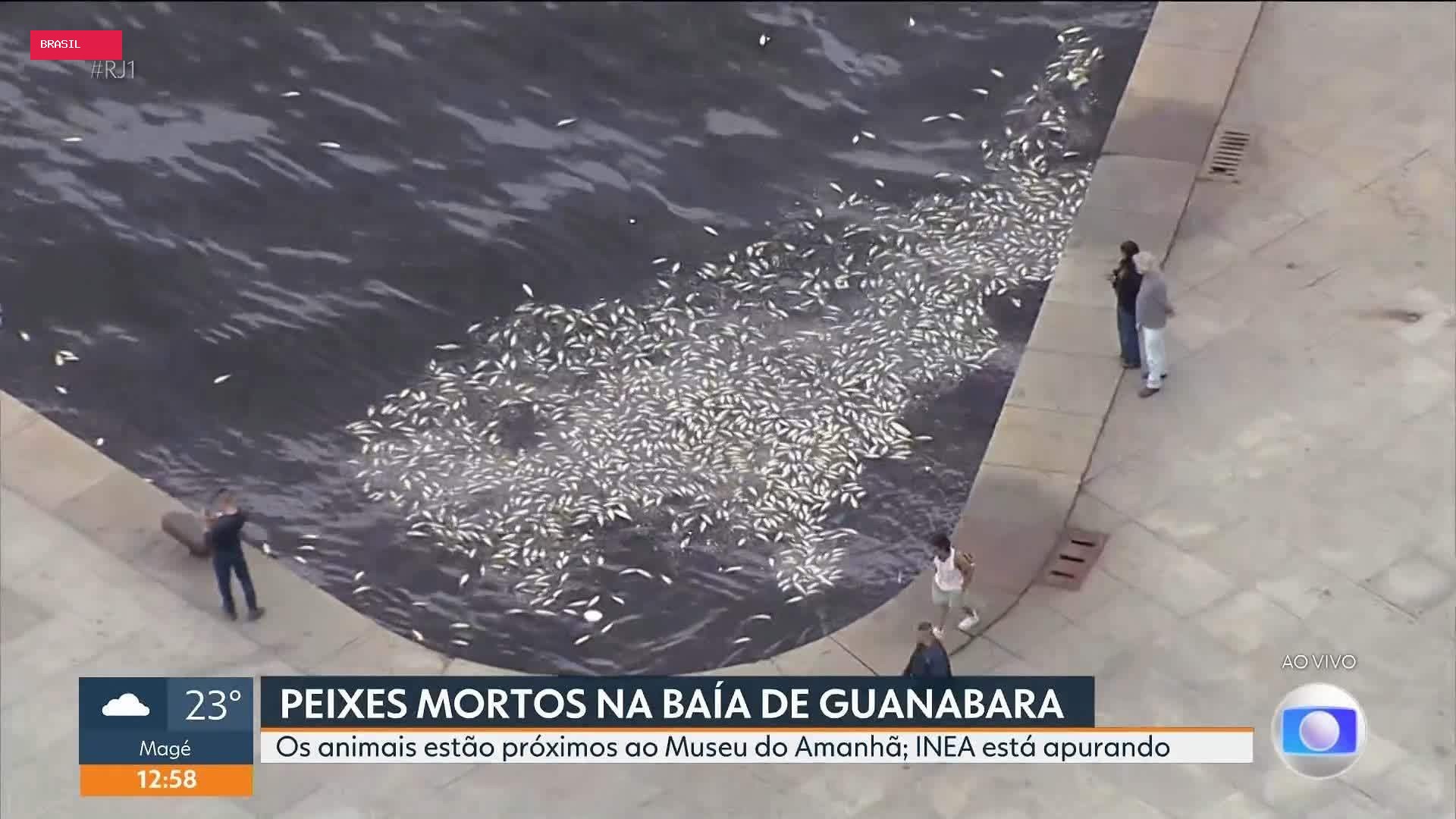 RJ1 de quinta, 22 de outubro de 2026