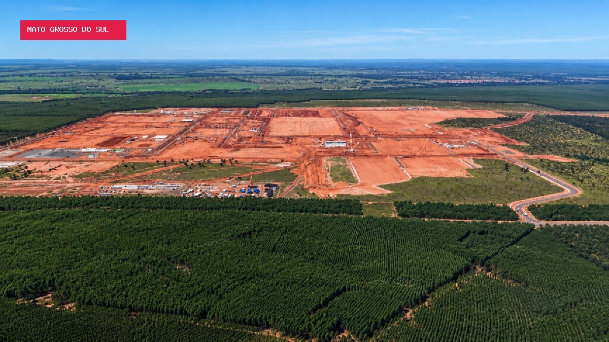 Projeto Sucuriú supera 80% das obras e amplia base florestal em Mato Grosso do Sul