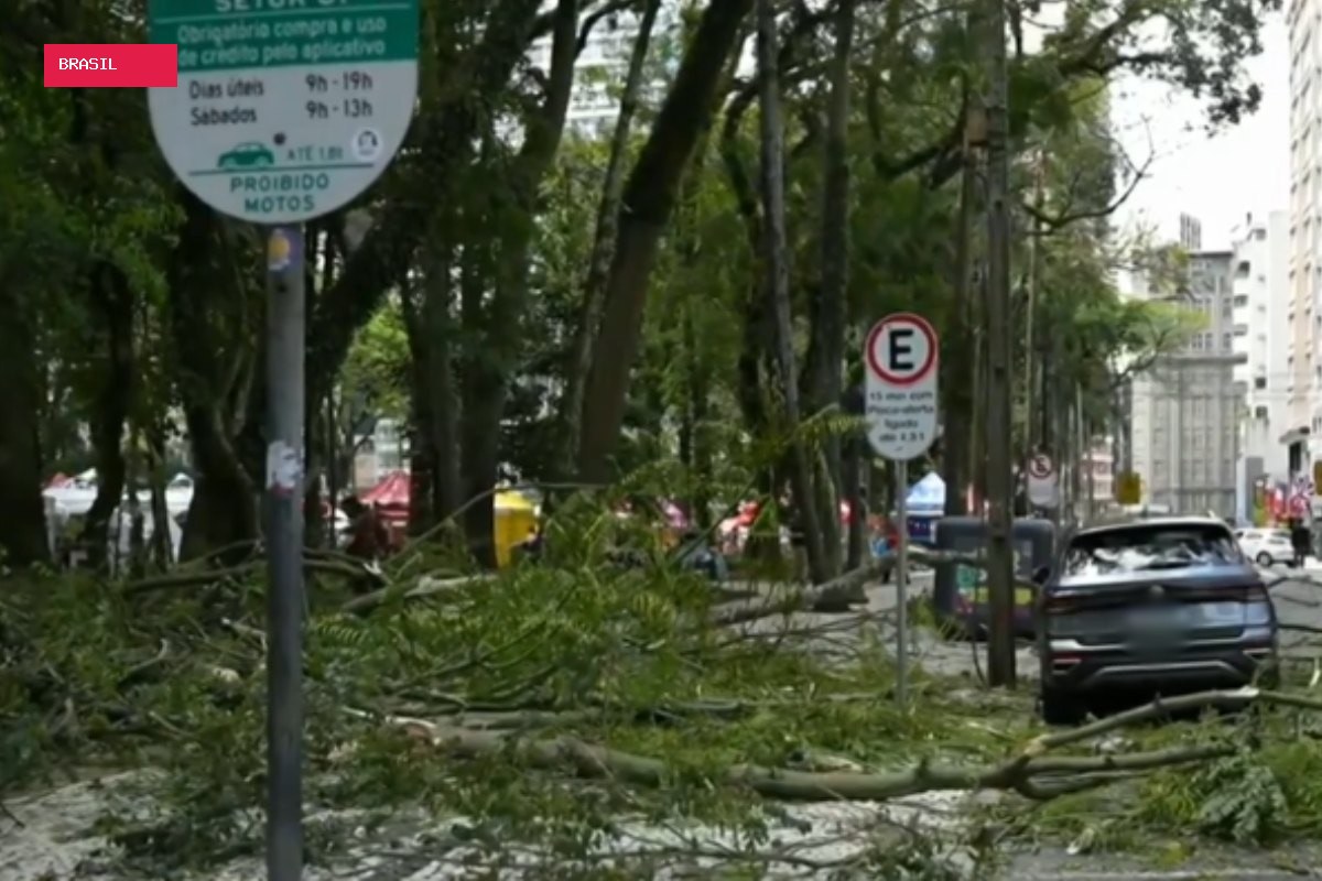 Quatro meses após jovem ficar paraplégica, queda de novo galho deixa mulher ferida e atinge carro na Praça