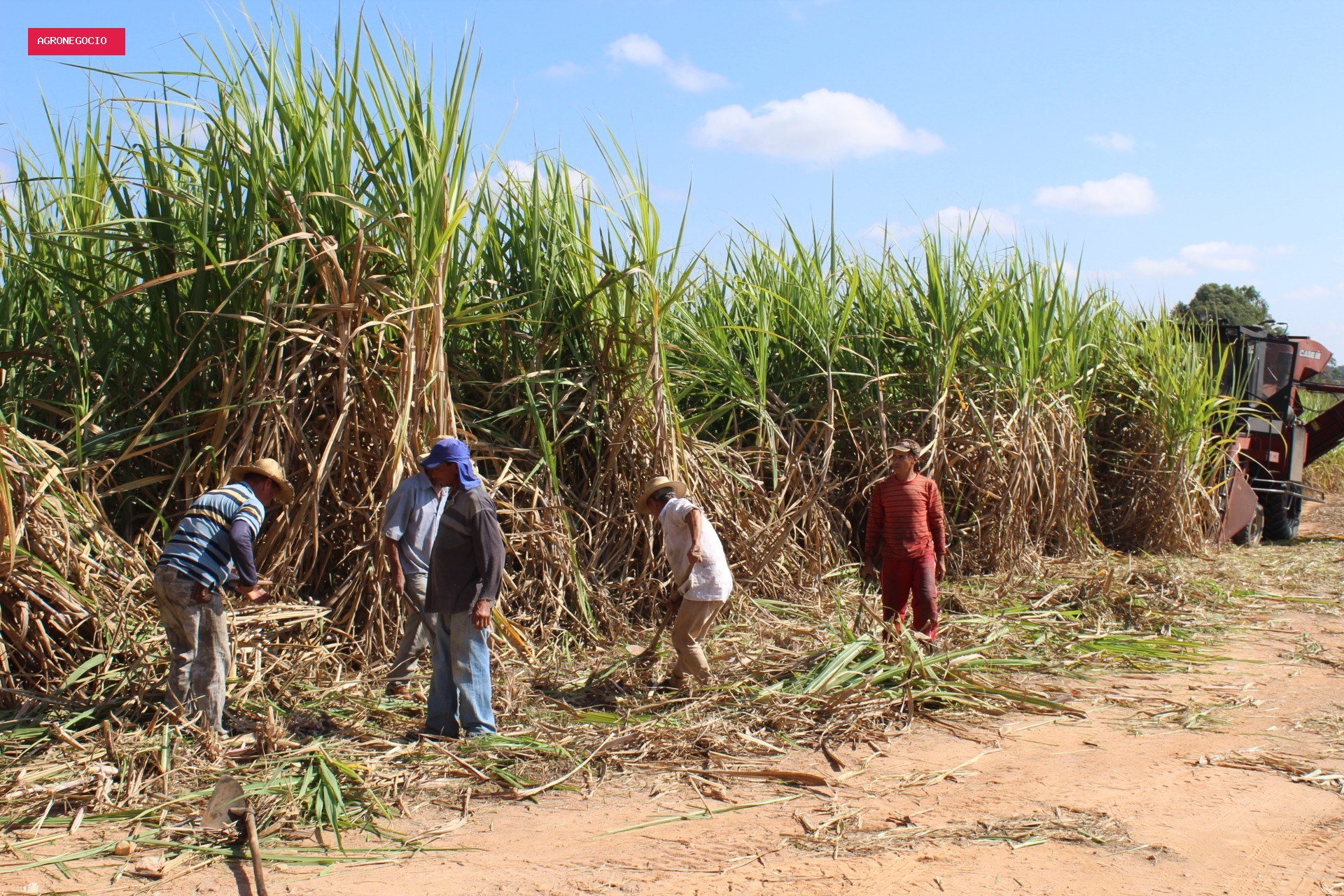 Câmara aprova projeto que prevê incentivos para a produção de cana no Nordeste