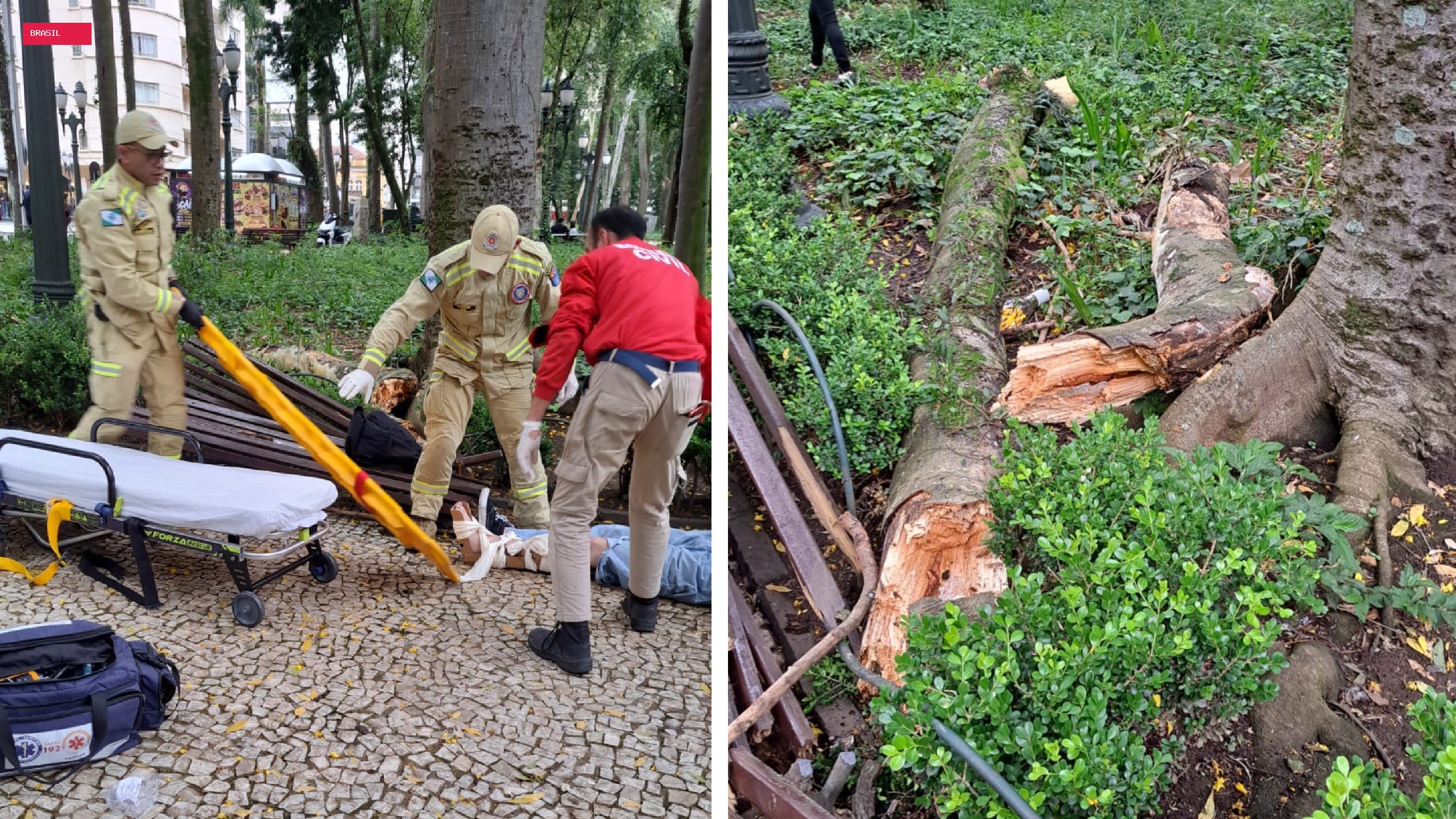 Praça Osório será interditada para obras após quedas de galhos deixarem três feridos, anuncia prefeito de
