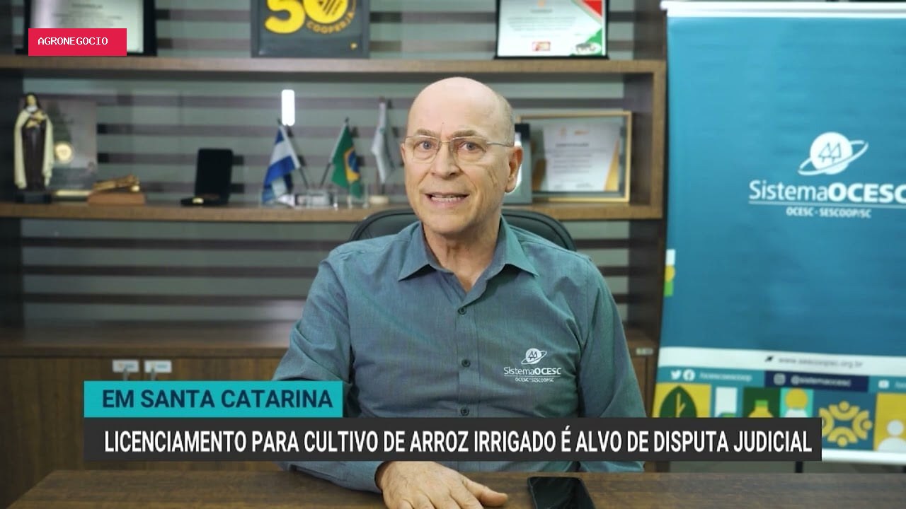 Disputa judicial sobre licenciamento ambiental do arroz irrigado em SC