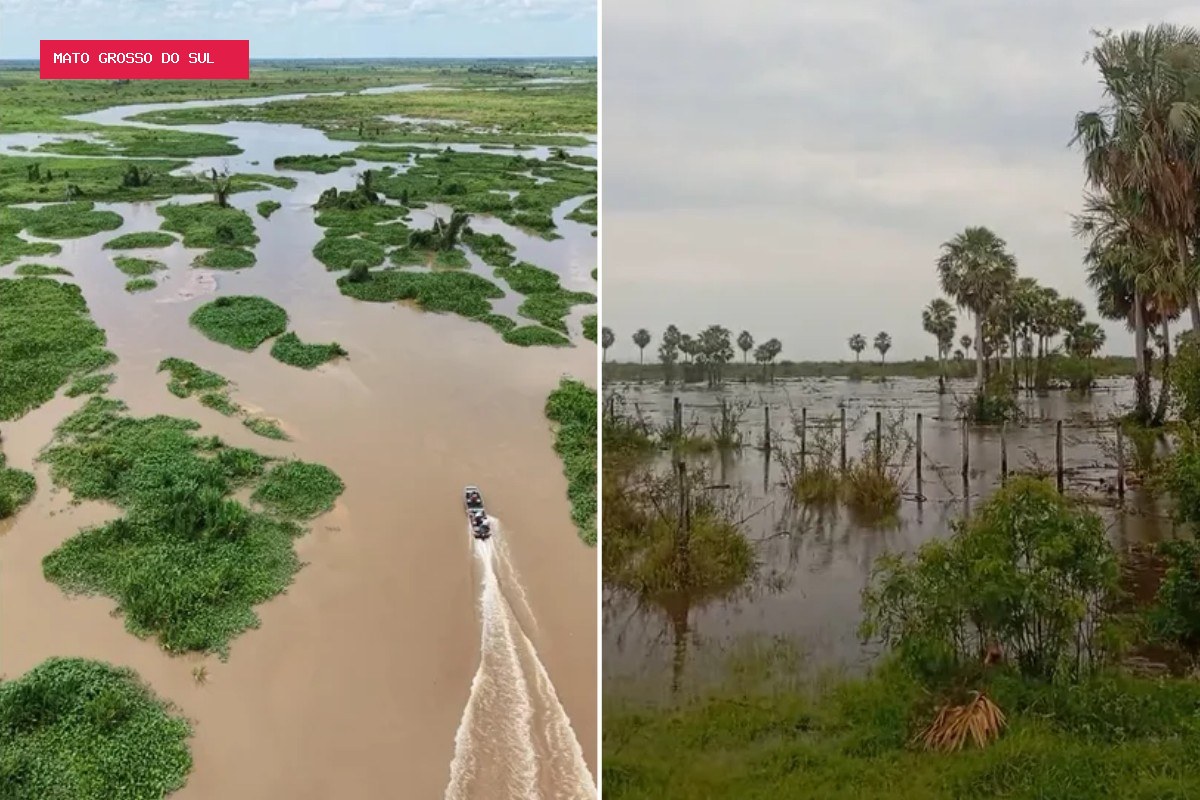 Rio Miranda ultrapassa cota de alerta e fica 4,7 metros acima da média histórica no Pantanal