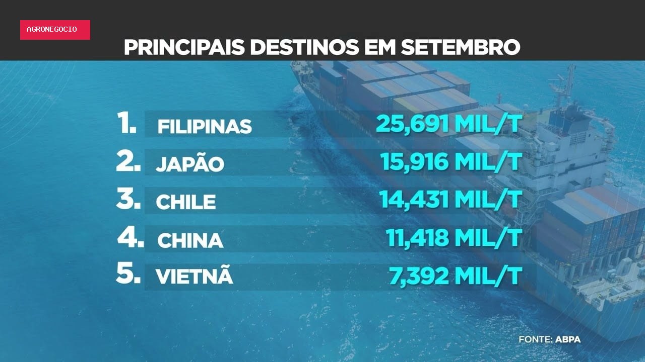 Exportações de carne suína do Brasil crescem 6,2% em 2023