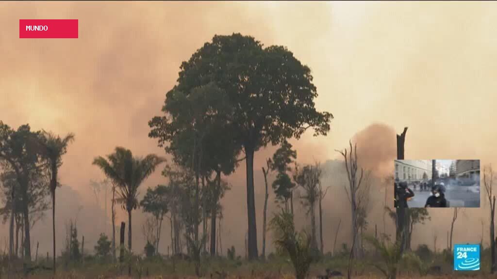 Brazil: Amazon deforestation at 40-year low