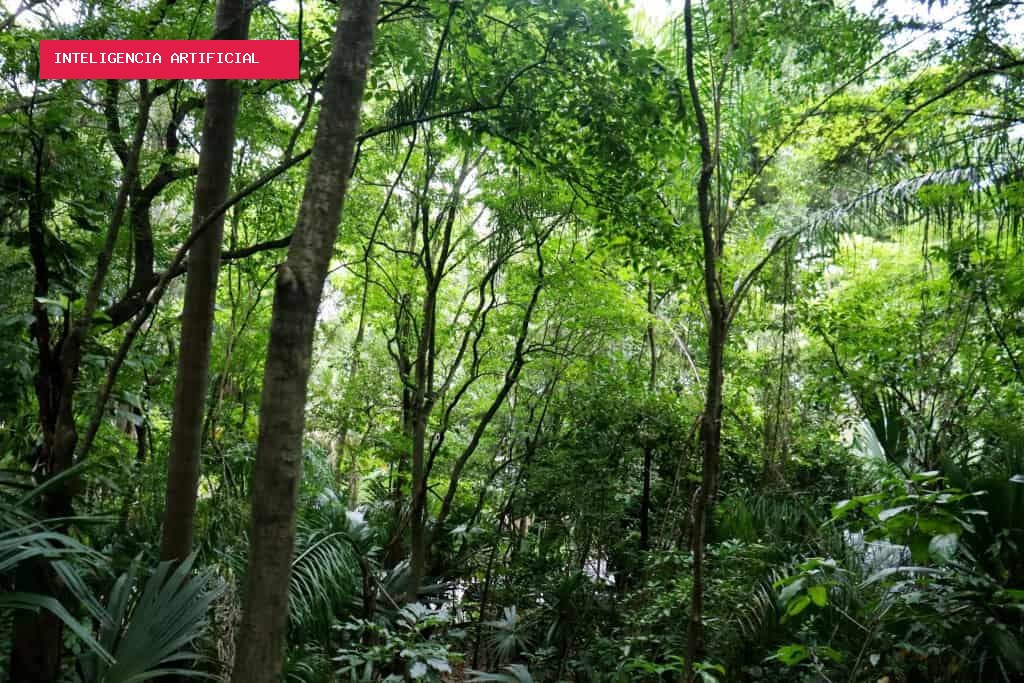 IA interpreta sinais elétricos de plantas para identificar suas necessidades