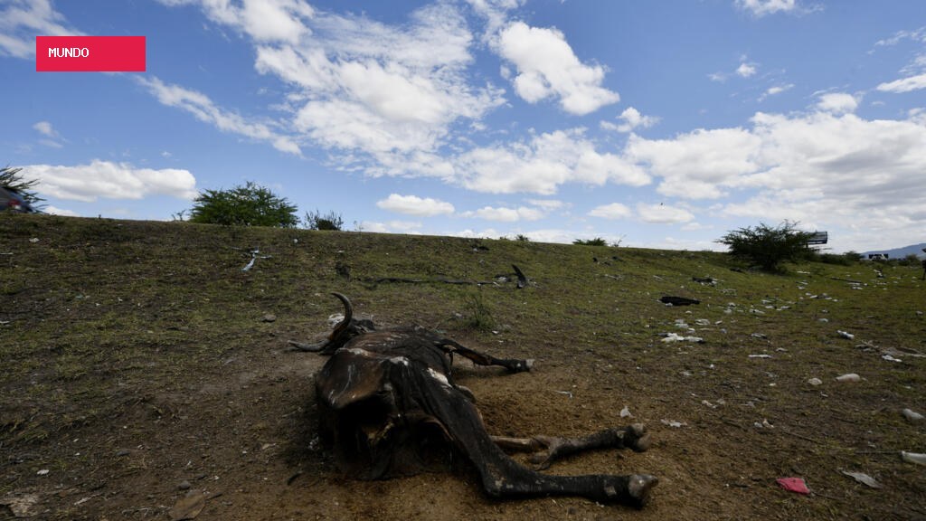 El Niño avança e deve atingir força máxima em dezembro, alerta Organização Meteorológica Mundial